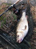 foto/diskuze/z_lovu/2011/th-img41606.jpg