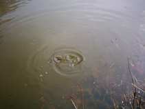 foto/diskuze/z_lovu/2011/th-img41675.jpg