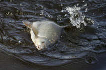 foto/diskuze/z_lovu/2011/th-img41697.jpg