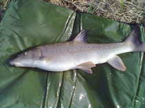 foto/diskuze/z_lovu/2011/th-img41700.jpg
