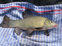 foto/diskuze/z_lovu/2011/th-img41719.jpg