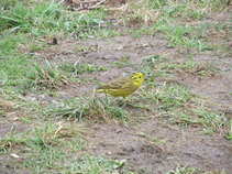 foto/diskuze/z_lovu/2011/th-img41725.jpg
