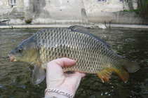 foto/diskuze/z_lovu/2011/th-img41726.jpg