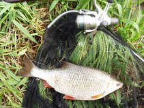 foto/diskuze/z_lovu/2011/th-img41730.jpg