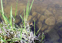 foto/diskuze/z_lovu/2011/th-img41766.jpg