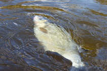 foto/diskuze/z_lovu/2011/th-img41784.jpg