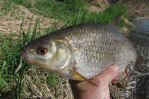 foto/diskuze/z_lovu/2011/th-img41830.jpg
