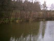 foto/diskuze/z_lovu/2011/th-img41848.jpg
