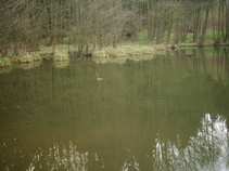 foto/diskuze/z_lovu/2011/th-img41850.jpg