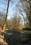 foto/diskuze/z_lovu/2011/th-img41935.jpg