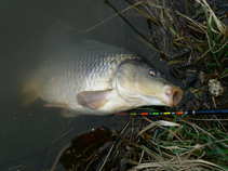 foto/diskuze/z_lovu/2011/th-img41972.jpg