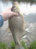 foto/diskuze/z_lovu/2011/th-img41981.jpg