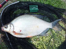 foto/diskuze/z_lovu/2011/th-img42021.jpg