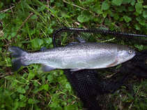foto/diskuze/z_lovu/2011/th-img42056.jpg