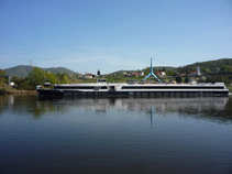 foto/diskuze/z_lovu/2011/th-img42074.jpg