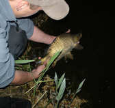 foto/diskuze/z_lovu/2011/th-img42083.jpg
