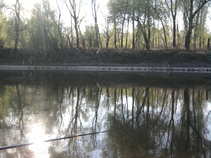 foto/diskuze/z_lovu/2011/th-img42091.jpg
