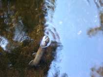 foto/diskuze/z_lovu/2011/th-img42134.jpg