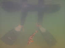 foto/diskuze/z_lovu/2011/th-img42143.jpg
