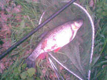 foto/diskuze/z_lovu/2011/th-img42213.jpg