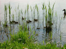 foto/diskuze/z_lovu/2011/th-img42249.jpg