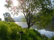 foto/diskuze/z_lovu/2011/th-img42311.jpg