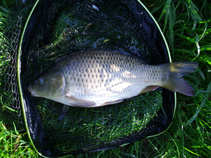 foto/diskuze/z_lovu/2011/th-img42312.jpg