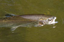 foto/diskuze/z_lovu/2011/th-img42316.jpg