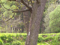 foto/diskuze/z_lovu/2011/th-img42327.jpg