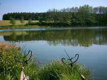 foto/diskuze/z_lovu/2011/th-img42334.jpg