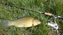 foto/diskuze/z_lovu/2011/th-img42379.jpg