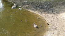 foto/diskuze/z_lovu/2011/th-img42380.jpg