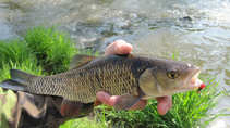 foto/diskuze/z_lovu/2011/th-img42459.jpg