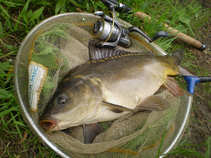 foto/diskuze/z_lovu/2011/th-img42464.jpg