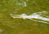 foto/diskuze/z_lovu/2011/th-img42487.jpg