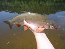 foto/diskuze/z_lovu/2011/th-img42557.jpg