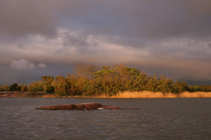 foto/diskuze/z_lovu/2011/th-img42570.jpg