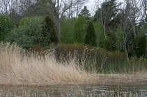 foto/diskuze/z_lovu/2011/th-img42572.jpg