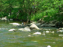 foto/diskuze/z_lovu/2011/th-img42616.jpg