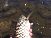 foto/diskuze/z_lovu/2011/th-img42631.jpg