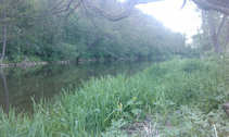 foto/diskuze/z_lovu/2011/th-img42648.jpg