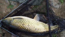 foto/diskuze/z_lovu/2011/th-img42655.jpg