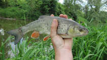 foto/diskuze/z_lovu/2011/th-img42664.jpg