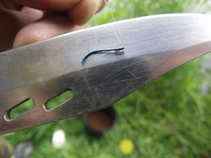 foto/diskuze/z_lovu/2011/th-img42686.jpg