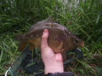 foto/diskuze/z_lovu/2011/th-img42688.jpg