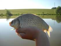 foto/diskuze/z_lovu/2011/th-img42739.jpg