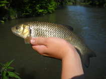 foto/diskuze/z_lovu/2011/th-img42765.jpg