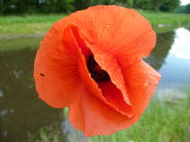 foto/diskuze/z_lovu/2011/th-img42797.jpg
