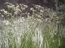 foto/diskuze/z_lovu/2011/th-img42804.jpg