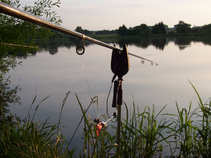 foto/diskuze/z_lovu/2011/th-img42849.jpg